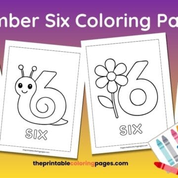 Four printable number 6 coloring pages for preschoolers featuring a bold number six, a snail-shaped number six, a flower with six petals, and a dotted tracing number six, shown against a purple and yellow background with crayons.