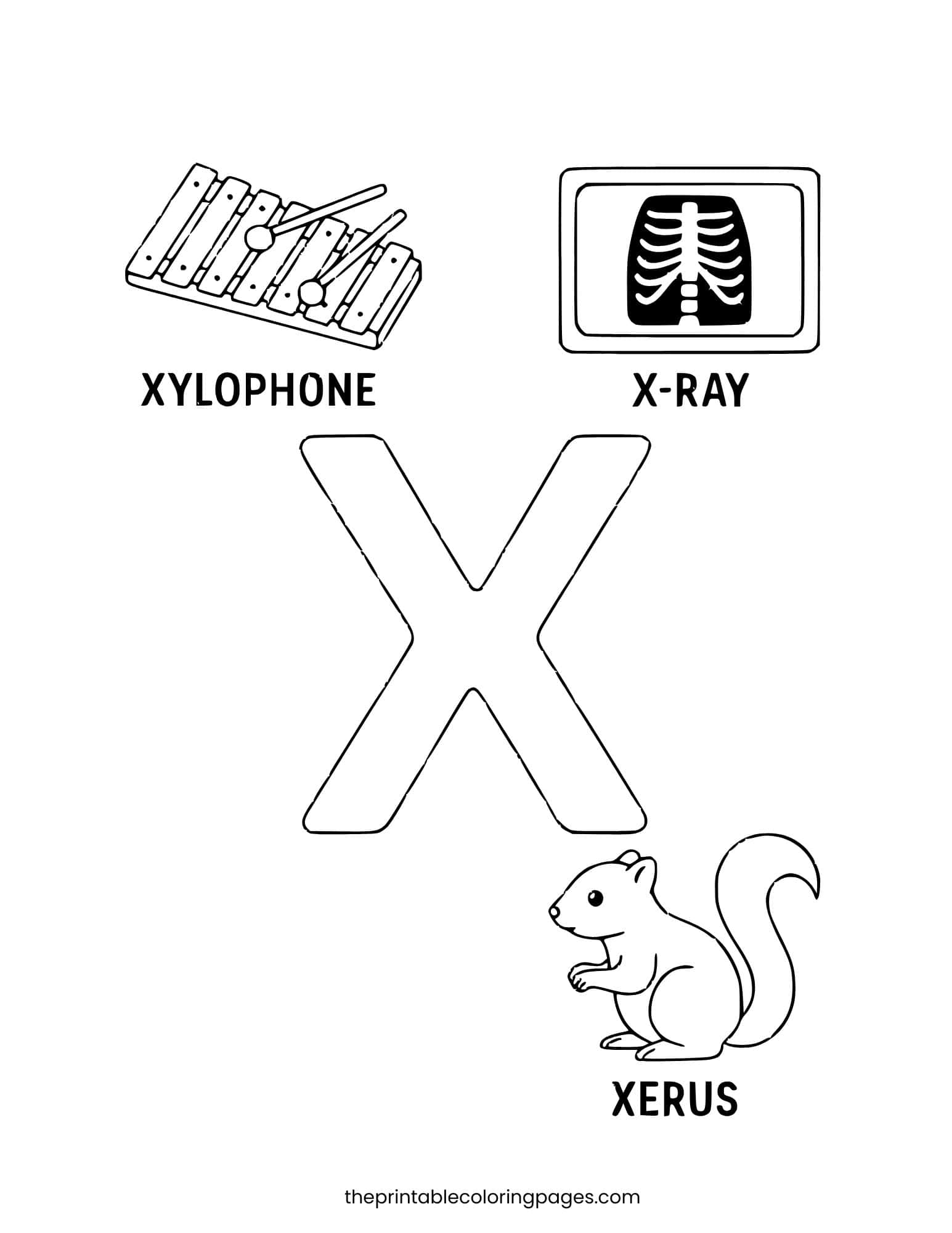 Letter X with xerus, xylophone and x-ray. Clean white background.