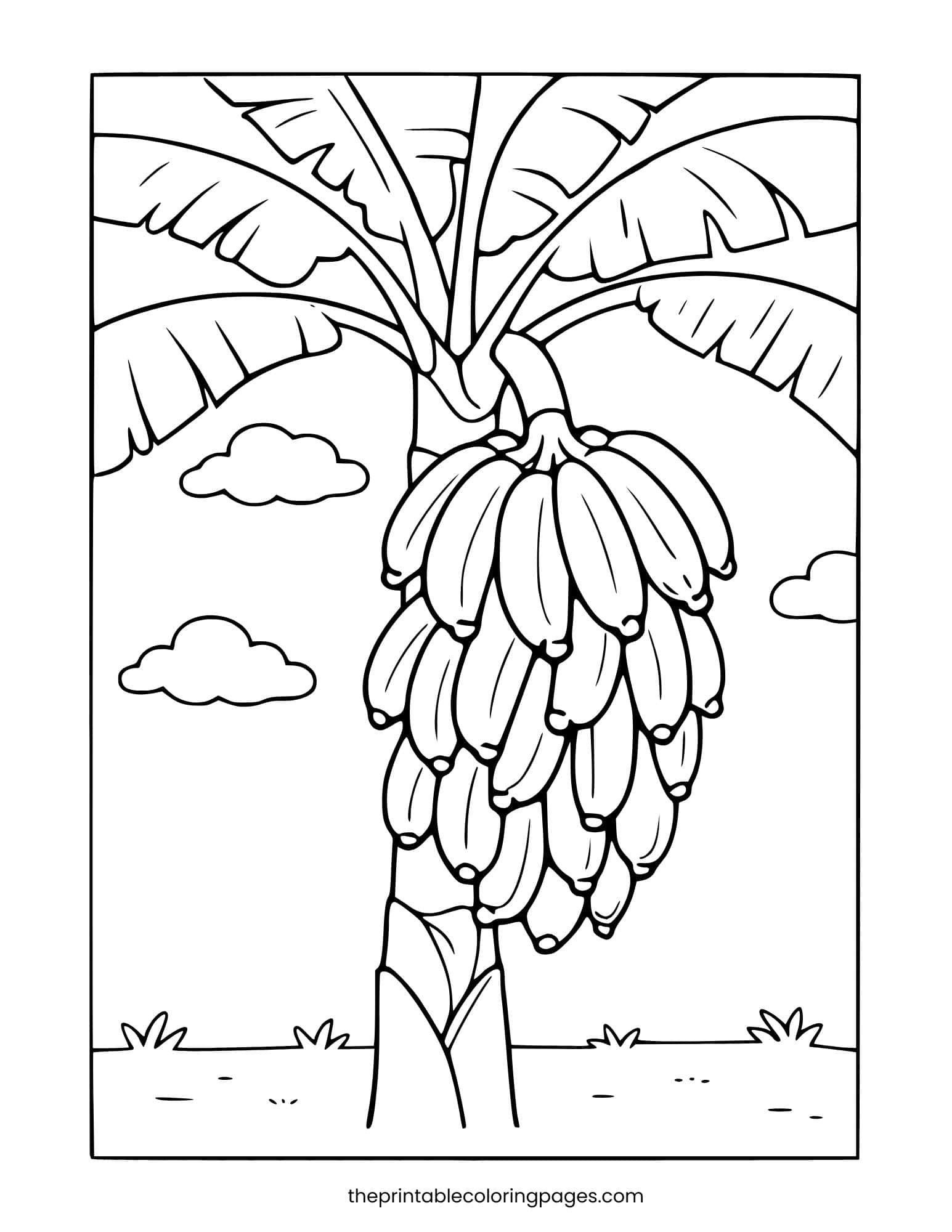 A simple banana tree with a bunch of bananas and large leaves for easy coloring.