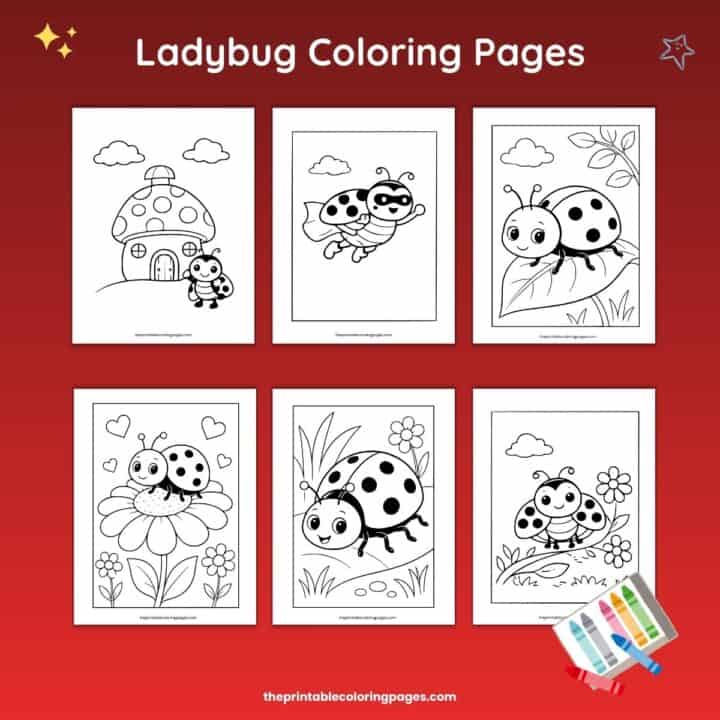 Ladybug Coloring Pages – Free Printable Sheets for Kids - The Printable ...
